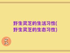 野生灵芝的生活习性(野生灵芝的生态习性)