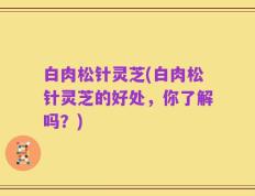 白肉松针灵芝(白肉松针灵芝的好处，你了解吗？)