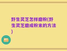 野生灵芝怎样磨粉(野生灵芝磨成粉末的方法)