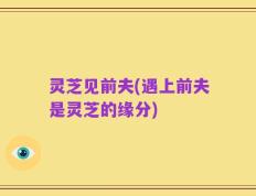 灵芝见前夫(遇上前夫是灵芝的缘分)