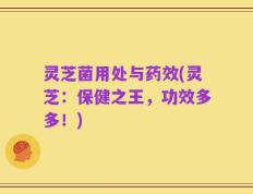 灵芝菌用处与药效(灵芝：保健之王，功效多多！)