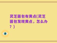 灵芝菌包有黄点(灵芝菌包发现黄点，怎么办？)