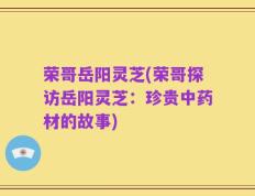 荣哥岳阳灵芝(荣哥探访岳阳灵芝：珍贵中药材的故事)