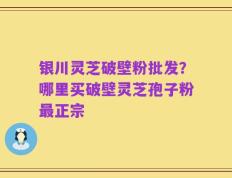 银川灵芝破壁粉批发？哪里买破壁灵芝孢子粉最正宗