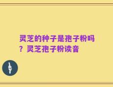 灵芝的种子是孢子粉吗？灵芝孢子粉读音