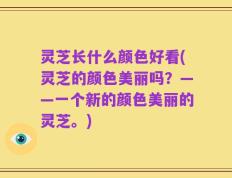 灵芝长什么颜色好看(灵芝的颜色美丽吗？——一个新的颜色美丽的灵芝。)