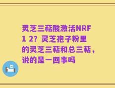 灵芝三萜酸激活NRF1 2？灵芝孢子粉里的灵芝三萜和总三萜，说的是一回事吗