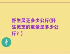野生灵芝多少公斤(野生灵芝的重量是多少公斤？)