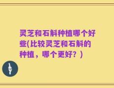 灵芝和石斛种植哪个好些(比较灵芝和石斛的种植，哪个更好？)