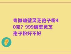 粤微破壁灵芝孢子粉40克？999破壁灵芝孢子粉好不好