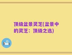 顶级盆景灵芝(盆景中的灵芝：顶级之选)