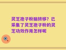 灵芝孢子粉脑转移？已采集了灵芝孢子粉的灵芝功效作用怎样呢