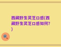 西藏野生灵芝口感(西藏野生灵芝口感如何？)