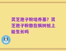灵芝孢子粉培养基？灵芝孢子粉撒在枫树桩上能生长吗