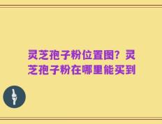 灵芝孢子粉位置图？灵芝孢子粉在哪里能买到