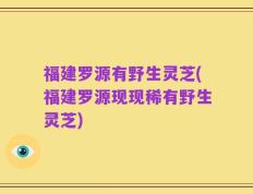 福建罗源有野生灵芝(福建罗源现现稀有野生灵芝)