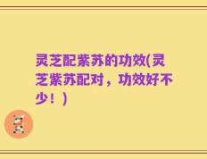 灵芝配紫苏的功效(灵芝紫苏配对，功效好不少！)