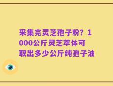 采集完灵芝孢子粉？1000公斤灵芝萃体可取出多少公斤纯孢子油