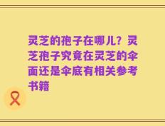灵芝的孢子在哪儿？灵芝孢子究竟在灵芝的伞面还是伞底有相关参考书籍