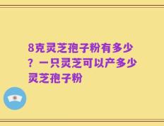 8克灵芝孢子粉有多少？一只灵芝可以产多少灵芝孢子粉