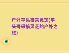 户外平头哥采灵芝(平头哥采摘灵芝的户外之旅)