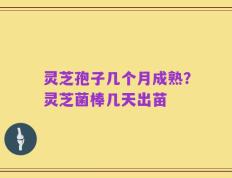 灵芝孢子几个月成熟？灵芝菌棒几天出苗