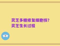 灵芝多糖修复细胞核？灵芝生长过程