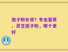 孢子粉补肾？冬虫夏草、灵芝孢子粉，哪个更好