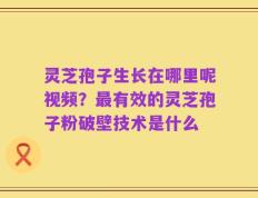 灵芝孢子生长在哪里呢视频？最有效的灵芝孢子粉破壁技术是什么
