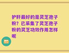 护肝最好的是灵芝孢子粉？已采集了灵芝孢子粉的灵芝功效作用怎样呢
