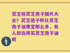 灵芝和灵芝孢子图片大全？灵芝孢子粉比灵芝孢子油便宜那么多，有人却选择买灵芝孢子油呢