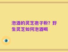 泡酒的灵芝孢子粉？野生灵芝如何泡酒喝