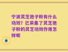 宁波灵芝孢子粉有什么功效？已采集了灵芝孢子粉的灵芝功效作用怎样呢