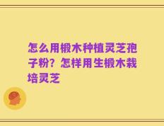 怎么用椴木种植灵芝孢子粉？怎样用生椴木栽培灵芝