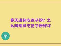 春天进补吃孢子粉？怎么辨别灵芝孢子粉好坏