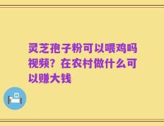 灵芝孢子粉可以喂鸡吗视频？在农村做什么可以赚大钱