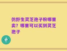 仿野生灵芝孢子粉哪里卖？哪里可以买到灵芝孢子