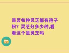 是否每种灵芝都有孢子粉？灵芝分多少种,看看这个是灵芝吗
