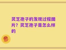 灵芝孢子的发现过程图片？灵芝孢子是怎么样的