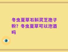 冬虫夏草石斛灵芝孢子粉？冬虫夏草可以泡酒吗