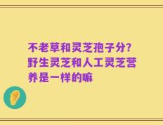 不老草和灵芝孢子分？野生灵芝和人工灵芝营养是一样的嘛