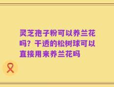 灵芝孢子粉可以养兰花吗？干透的松树球可以直接用来养兰花吗