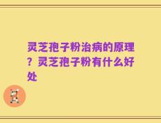灵芝孢子粉治病的原理？灵芝孢子粉有什么好处