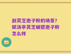 刮灵芝孢子粉的场景？赋汤亭灵芝破壁孢子粉怎么样