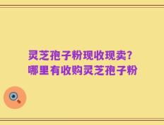 灵芝孢子粉现收现卖？哪里有收购灵芝孢子粉