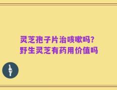 灵芝孢子片治咳嗽吗？野生灵芝有药用价值吗