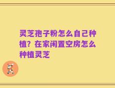 灵芝孢子粉怎么自己种植？在家闲置空房怎么种植灵芝