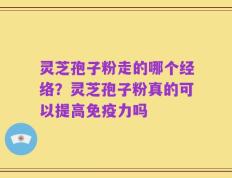 灵芝孢子粉走的哪个经络？灵芝孢子粉真的可以提高免疫力吗