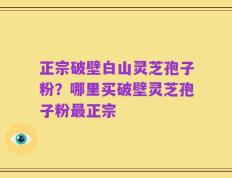 正宗破壁白山灵芝孢子粉？哪里买破壁灵芝孢子粉最正宗