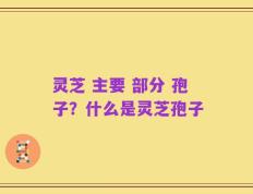 灵芝 主要 部分 孢子？什么是灵芝孢子